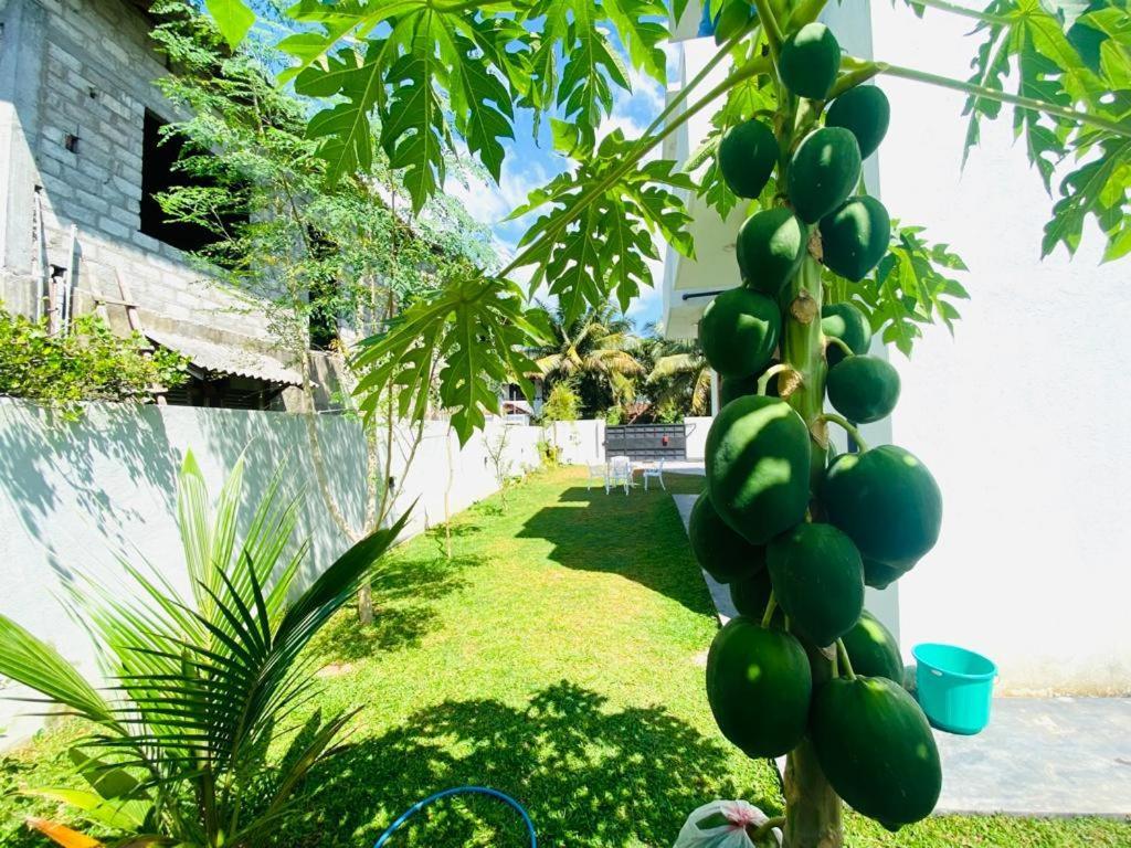 Twinstop Villa Minuwangoda Exterior foto